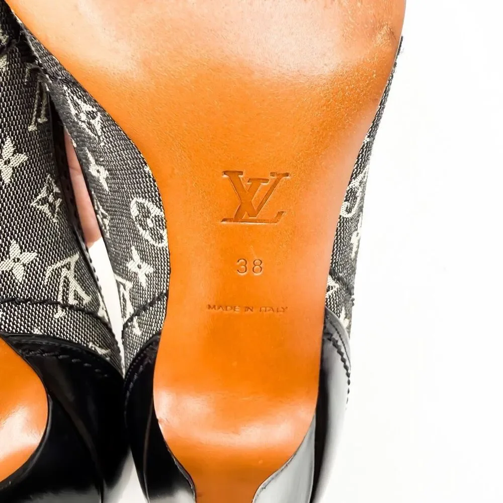 Louis Vuitton authentic louis